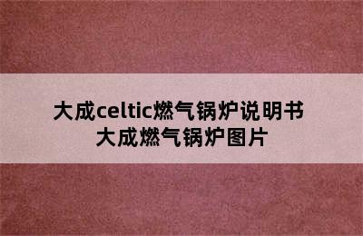 大成celtic燃气锅炉说明书 大成燃气锅炉图片